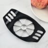 Stainless Steel Apple Slicer and Corer 